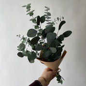 Dried Flower Bouquets by Le Garde-fleurs