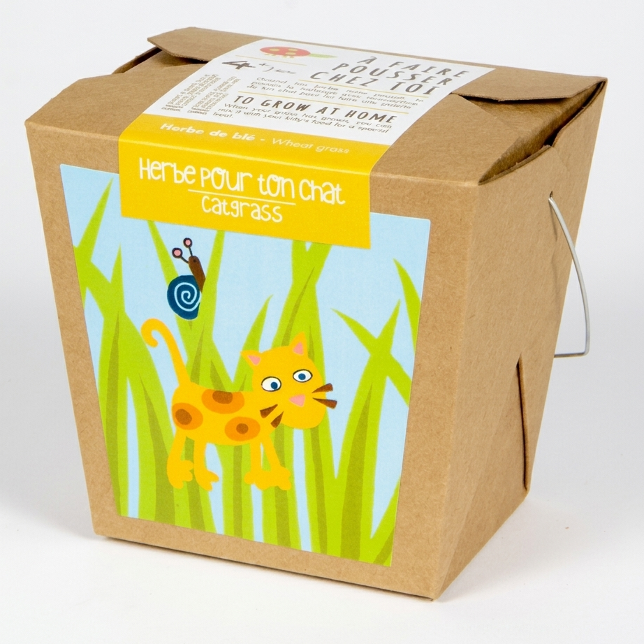 herbe-chat-mano-verde-junior-enfant.png